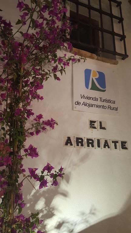 Апартаменты El Arriate De Vejer Вьер де ла Фронтера Экстерьер фото